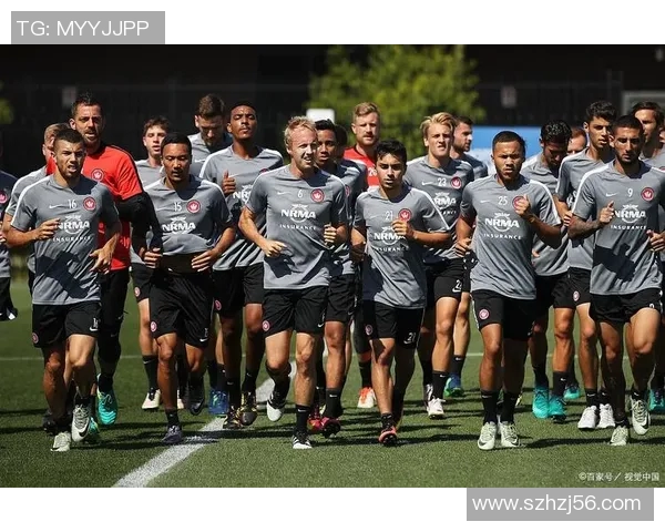 利勒斯特罗姆迎战林茨双方实力对比及赛前分析 利勒斯特罗姆迎战林茨双方实力对比及赛前分析